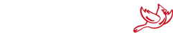 Cardinal Transportation LTD logo